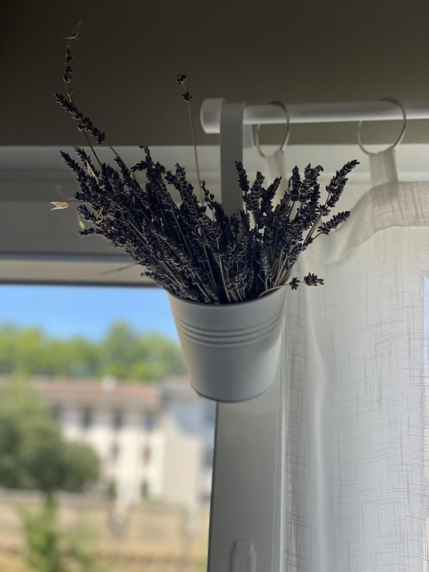 Chez Flo Appartement Avignon Buitenkant foto